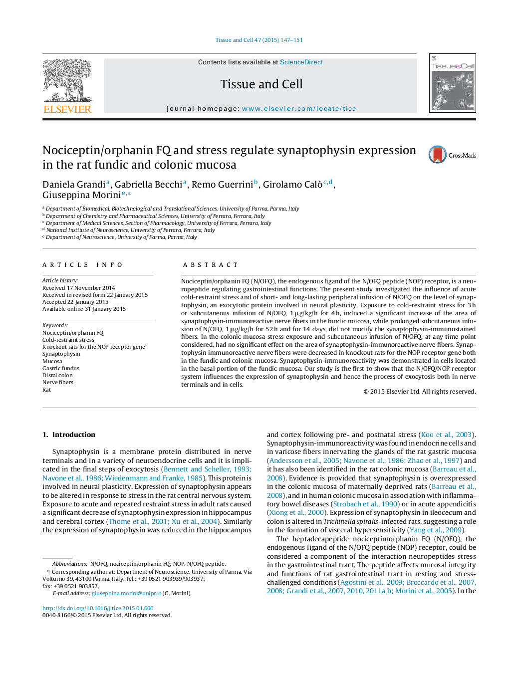 Nociceptin/orphanin FQ and stress regulate synaptophysin expression in the rat fundic and colonic mucosa