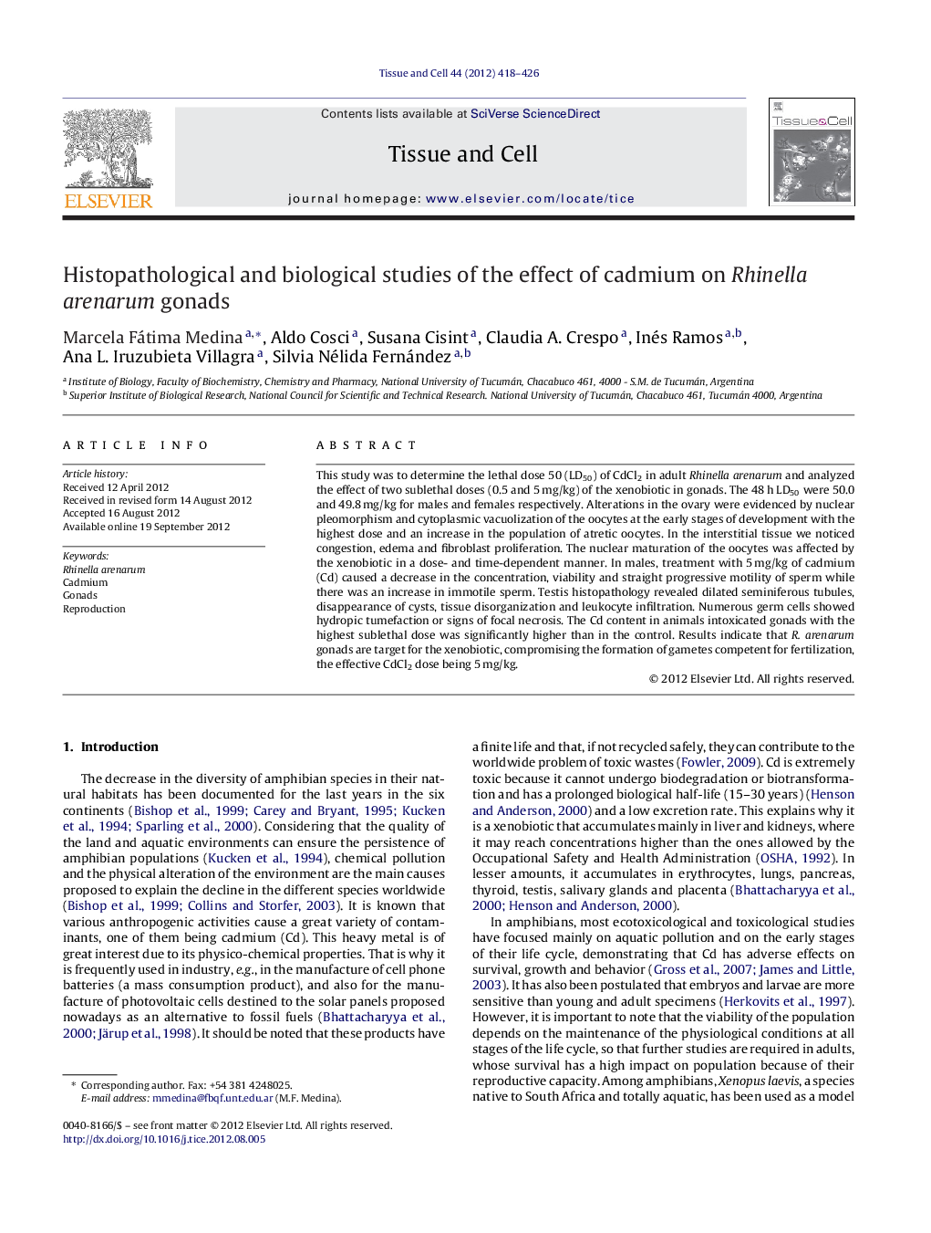 Histopathological and biological studies of the effect of cadmium on Rhinella arenarum gonads