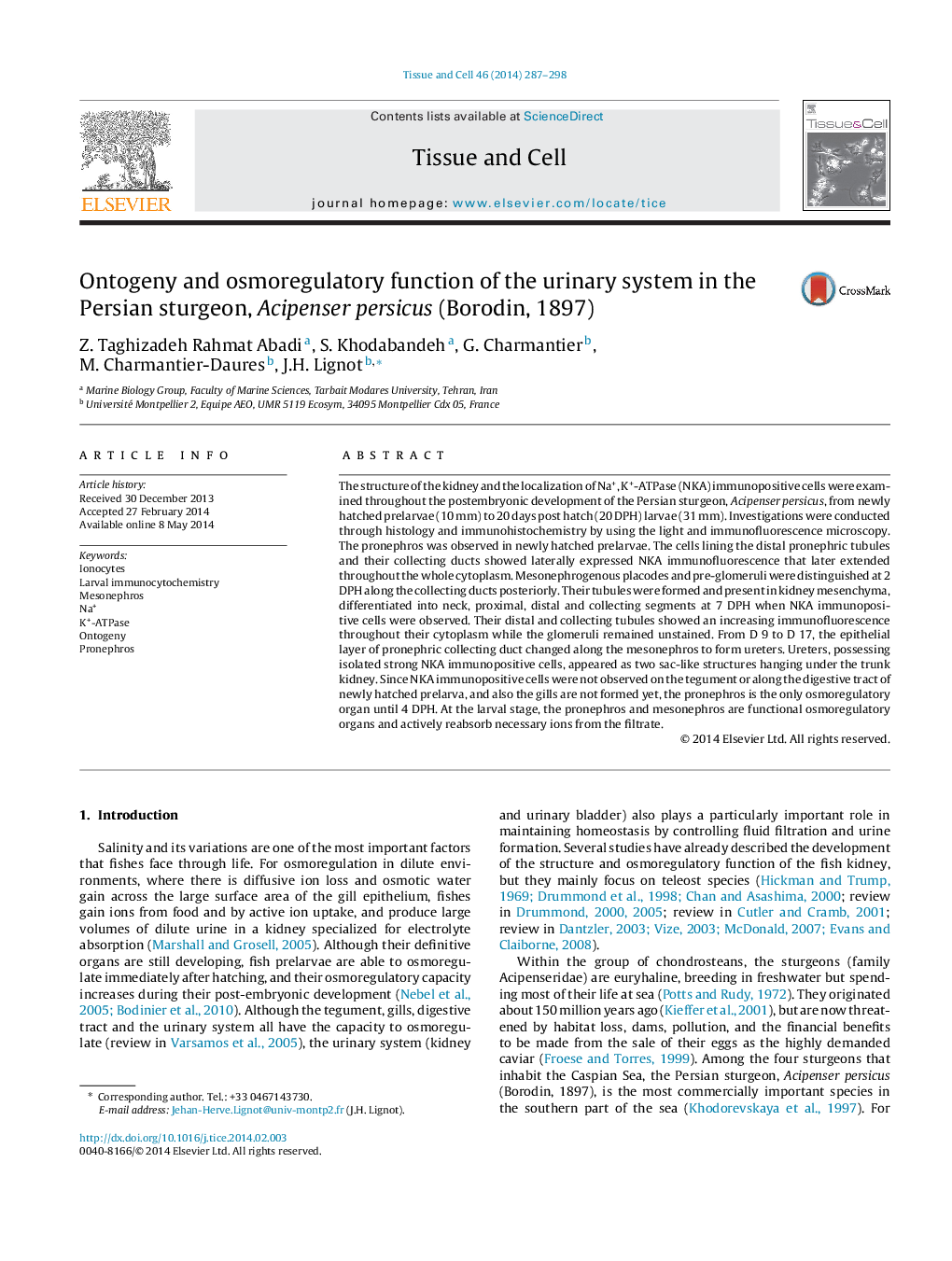 Ontogeny and osmoregulatory function of the urinary system in the Persian sturgeon, Acipenser persicus (Borodin, 1897)