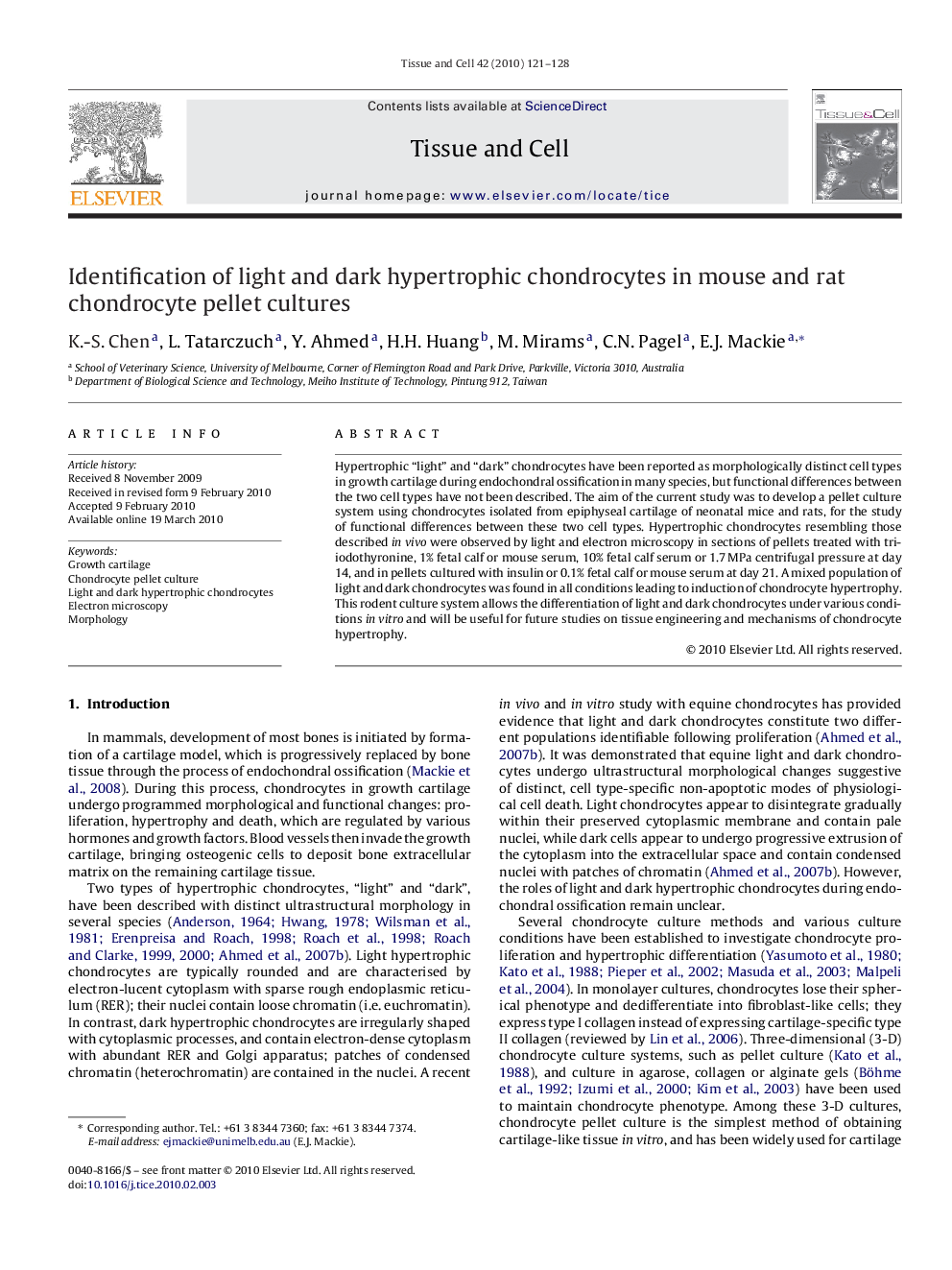 Identification of light and dark hypertrophic chondrocytes in mouse and rat chondrocyte pellet cultures