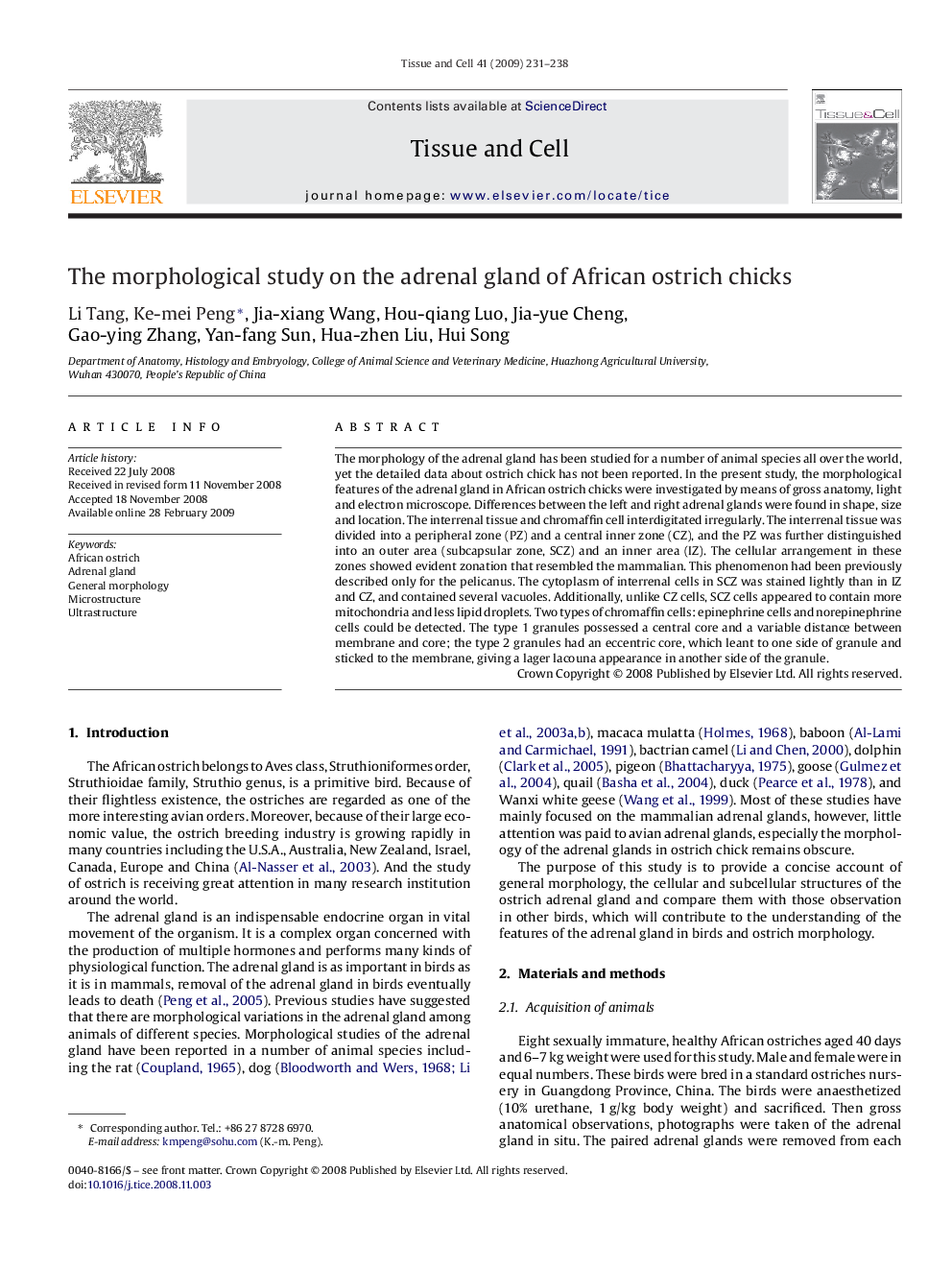 The morphological study on the adrenal gland of African ostrich chicks