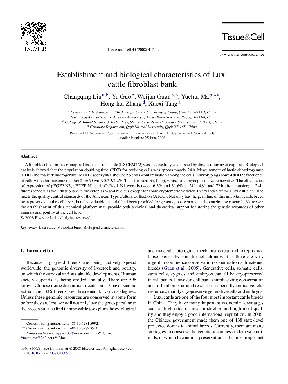 Establishment and biological characteristics of Luxi cattle fibroblast bank