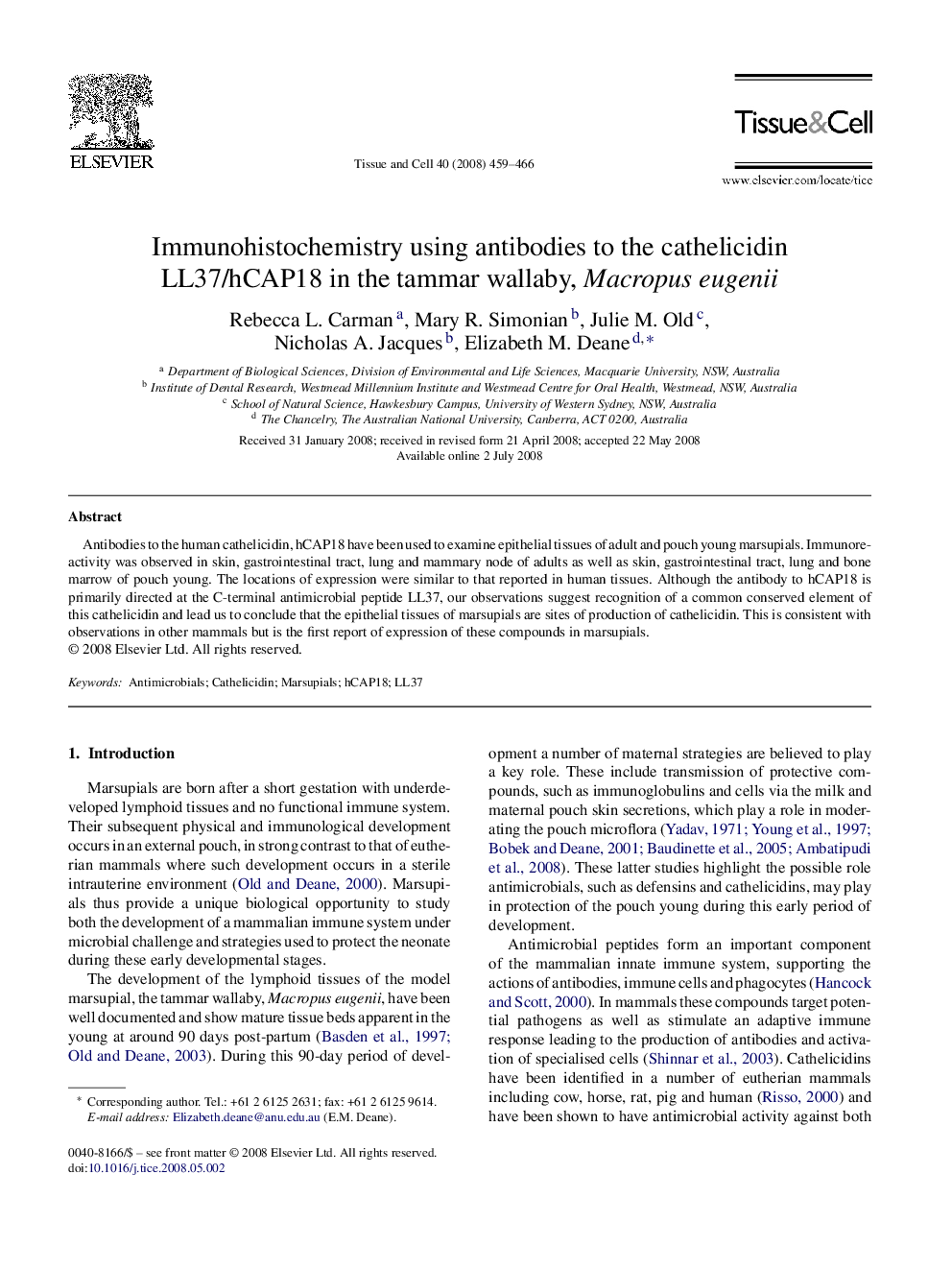 Immunohistochemistry using antibodies to the cathelicidin LL37/hCAP18 in the tammar wallaby, Macropus eugenii