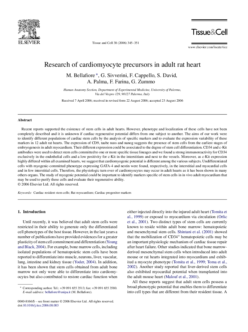 Research of cardiomyocyte precursors in adult rat heart