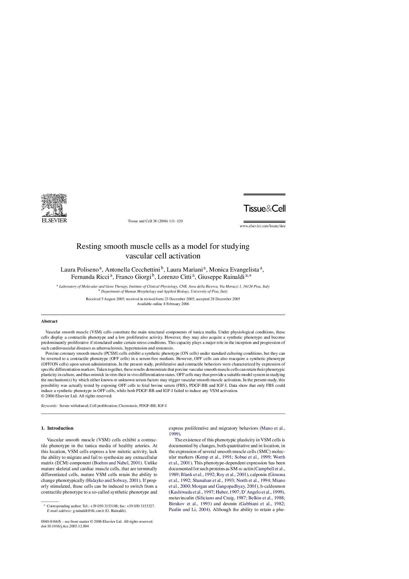 Resting smooth muscle cells as a model for studying vascular cell activation