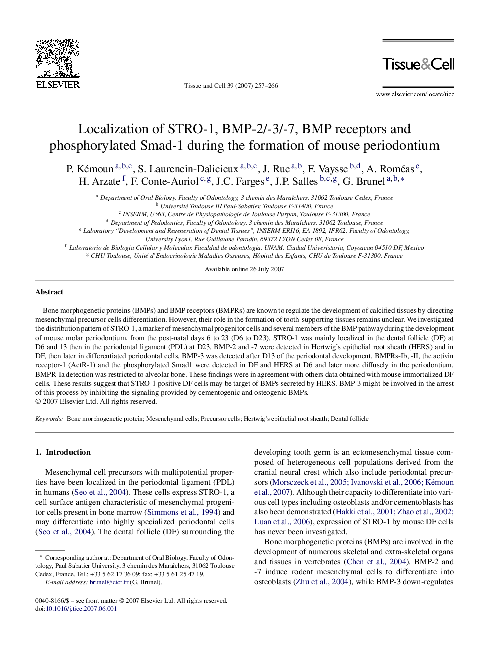 Localization of STRO-1, BMP-2/-3/-7, BMP receptors and phosphorylated Smad-1 during the formation of mouse periodontium