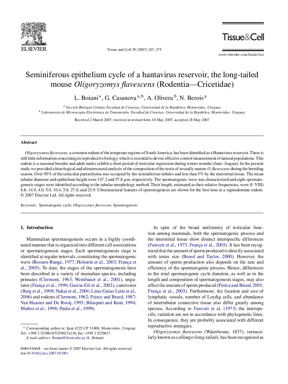 Seminiferous epithelium cycle of a hantavirus reservoir, the long-tailed mouse Oligoryzomys flavescens (Rodentia—Cricetidae)
