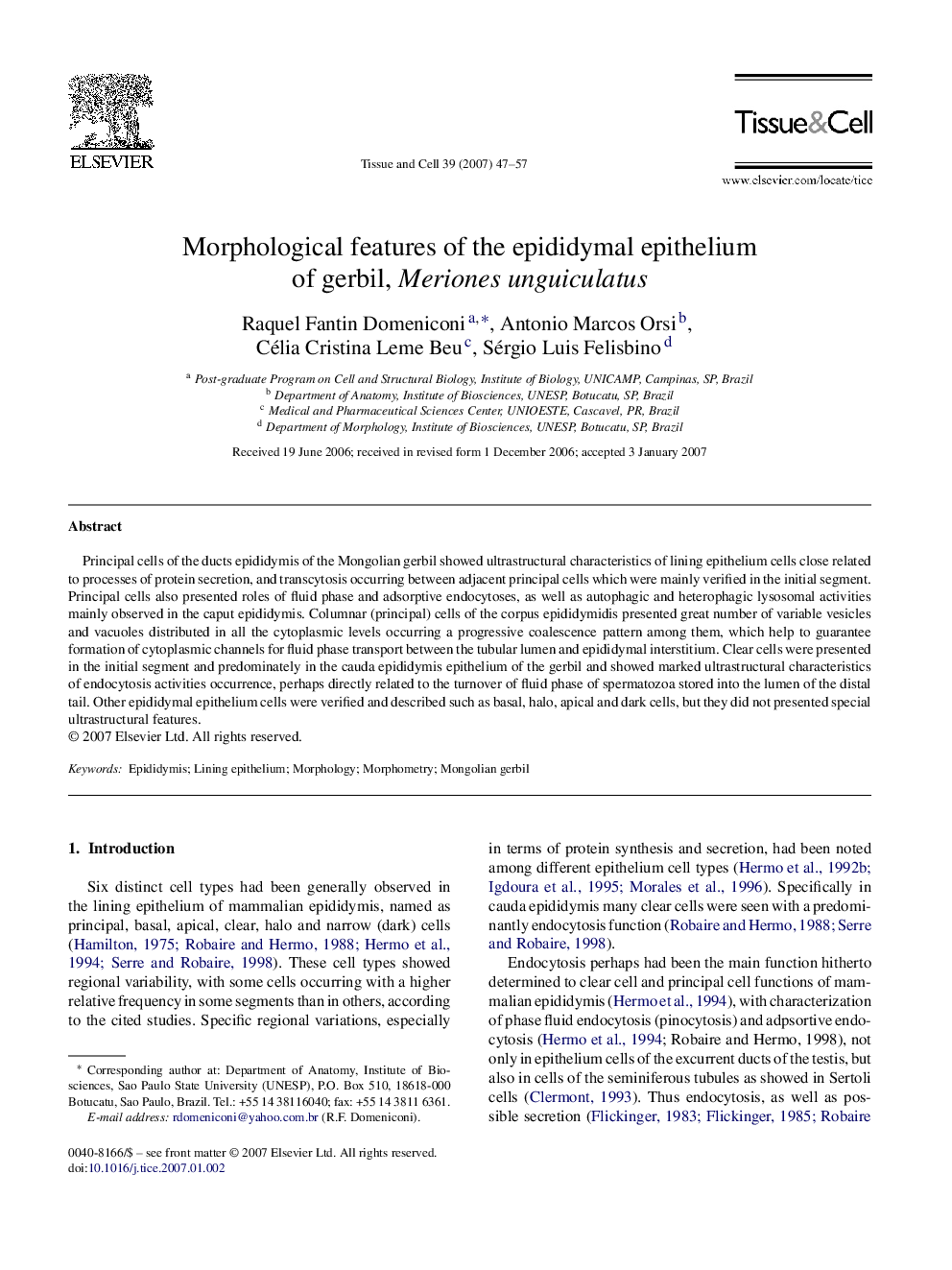 Morphological features of the epididymal epithelium of gerbil, Meriones unguiculatus