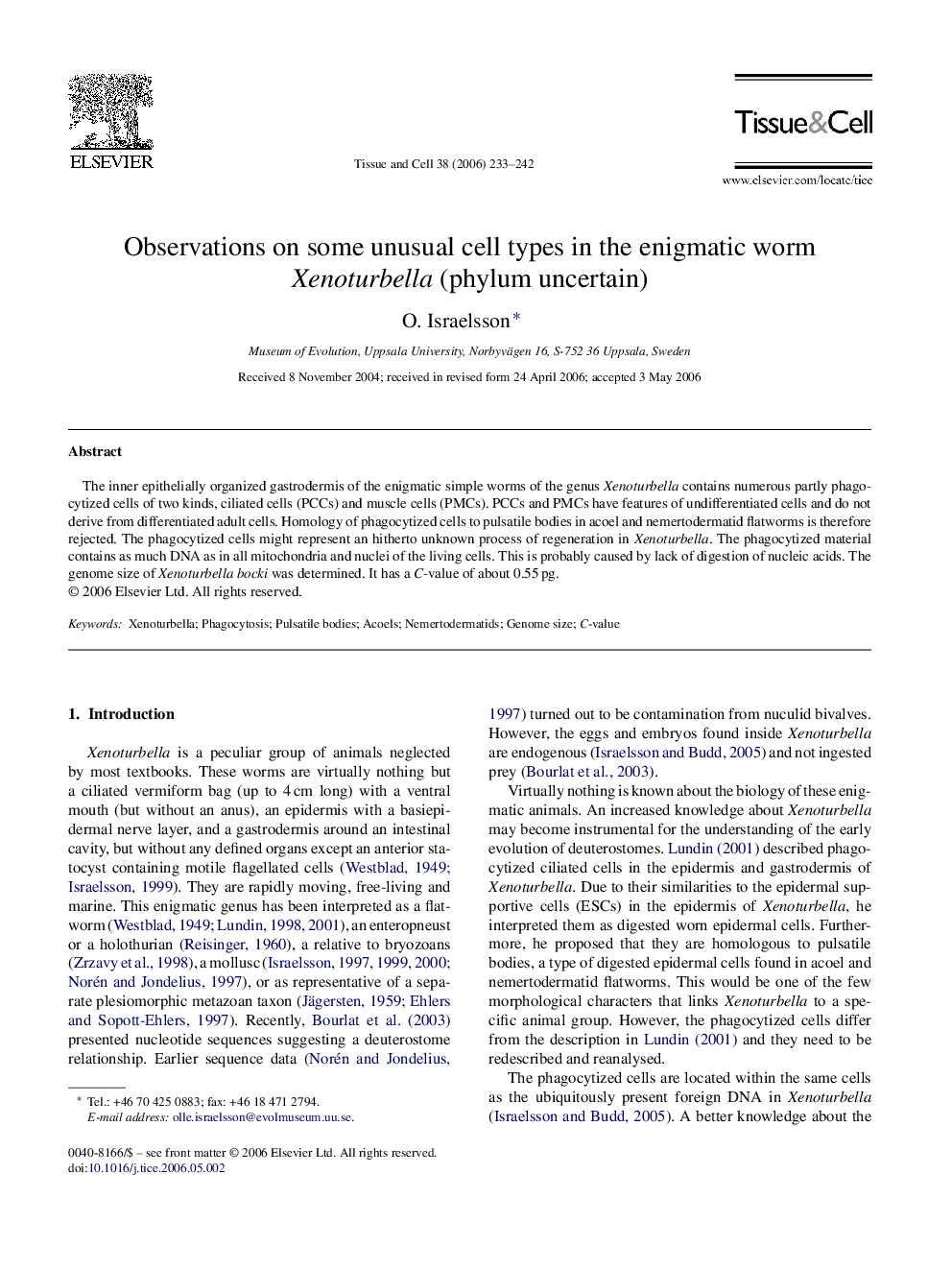 Observations on some unusual cell types in the enigmatic worm Xenoturbella (phylum uncertain)