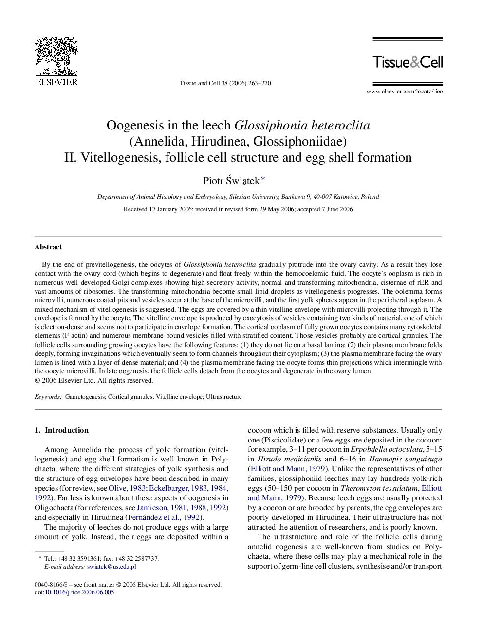 Oogenesis in the leech Glossiphonia heteroclita (Annelida, Hirudinea, Glossiphoniidae): II. Vitellogenesis, follicle cell structure and egg shell formation