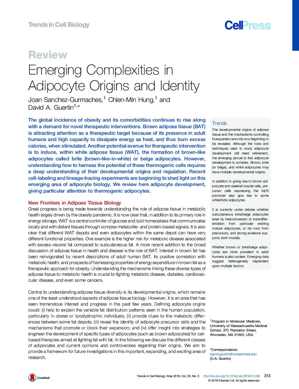 Emerging Complexities in Adipocyte Origins and Identity