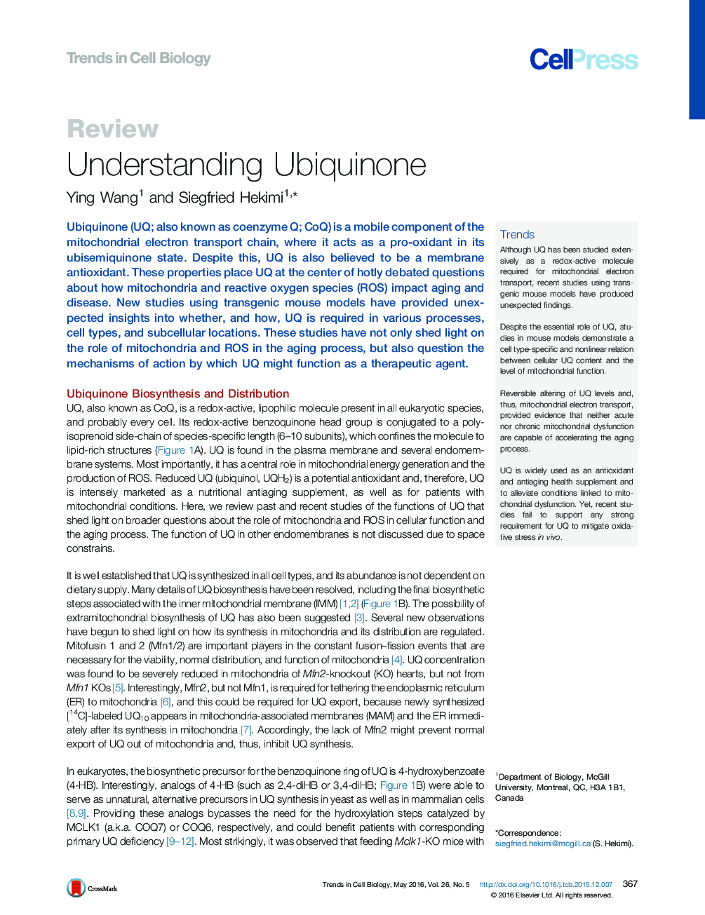 Understanding Ubiquinone