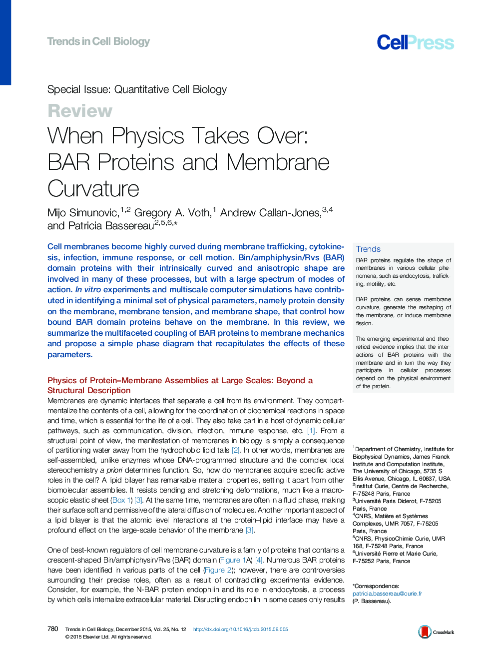 When Physics Takes Over: BAR Proteins and Membrane Curvature