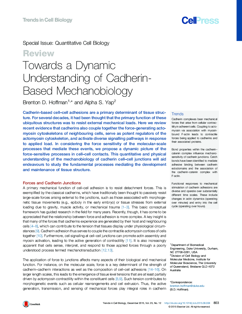 Towards a Dynamic Understanding of Cadherin-Based Mechanobiology