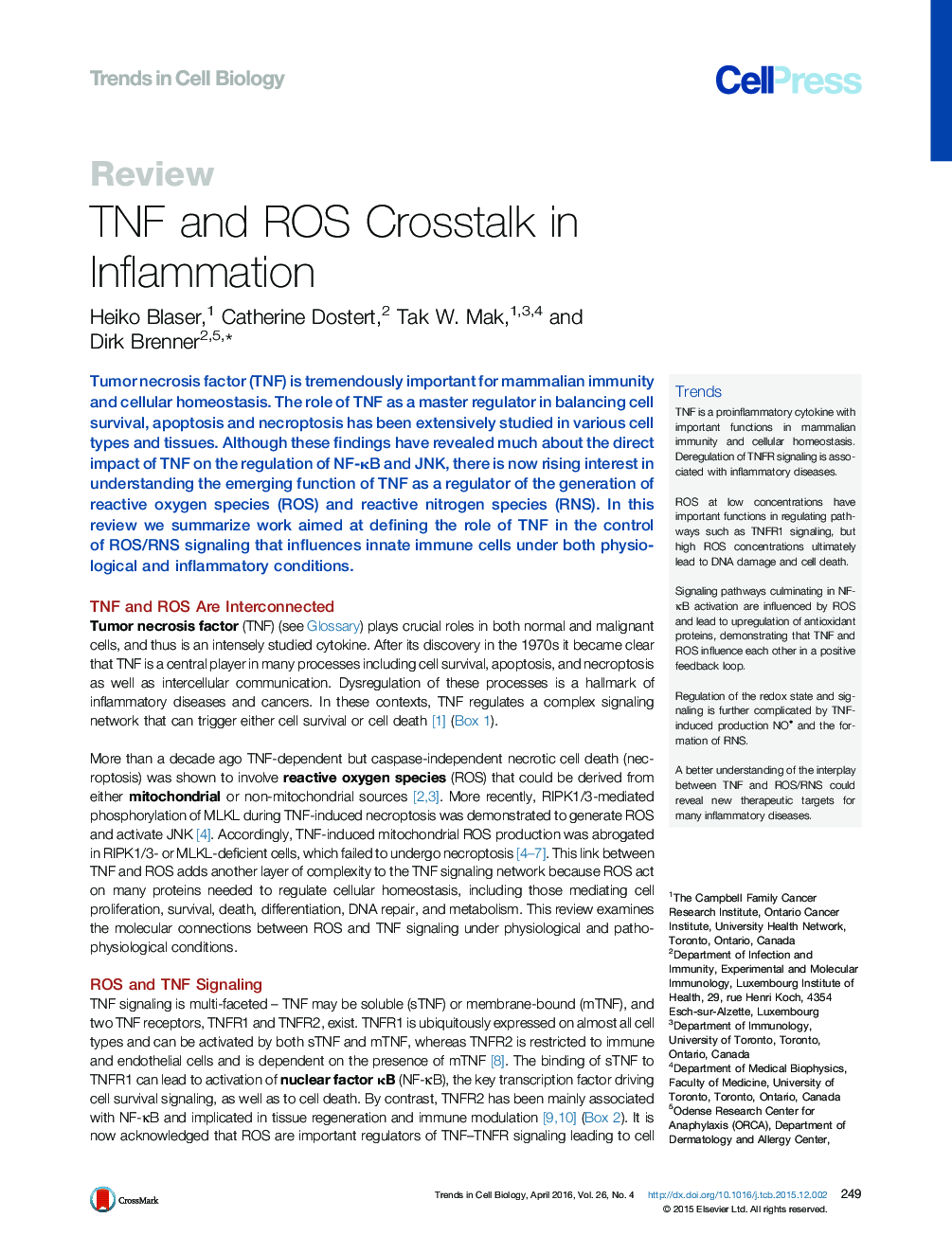 TNF and ROS Crosstalk in Inflammation