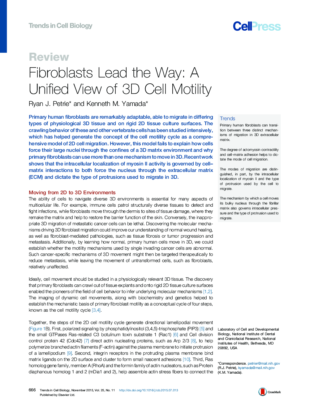 Fibroblasts Lead the Way: A Unified View of 3D Cell Motility