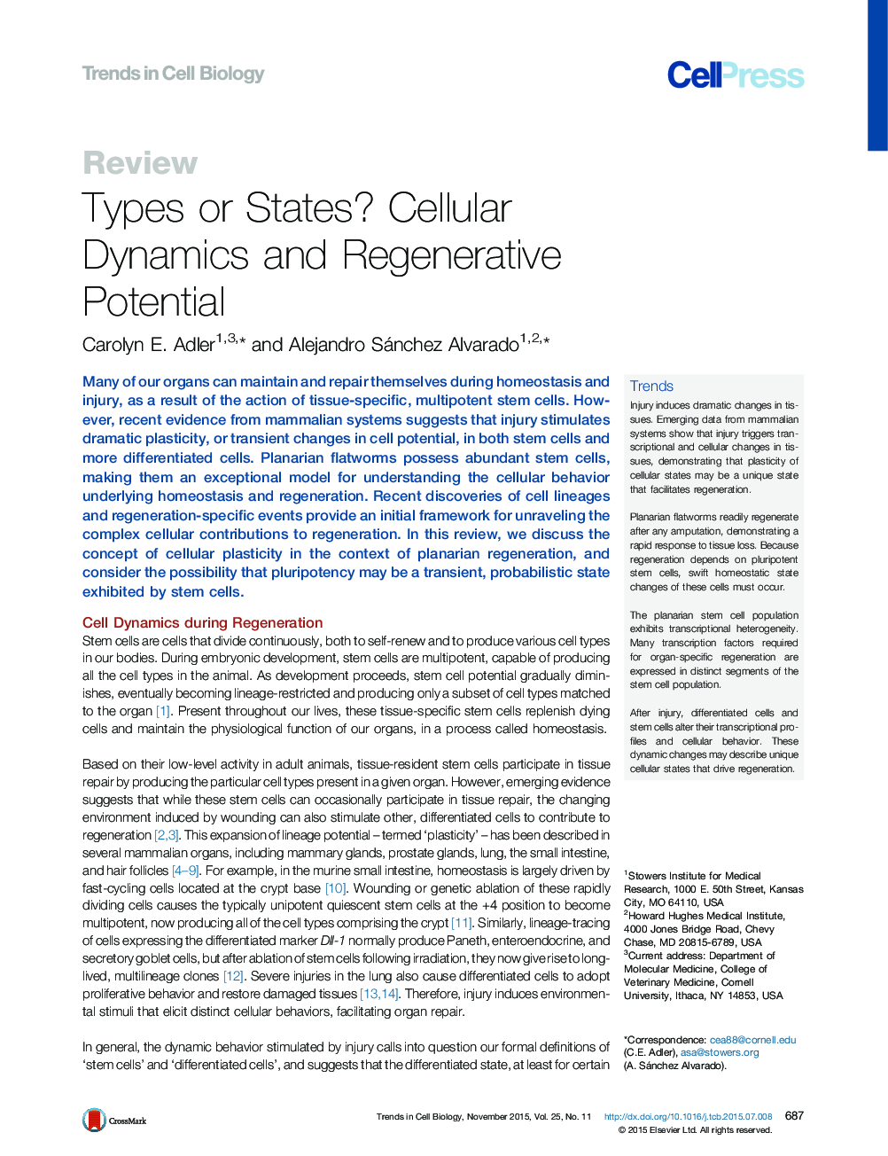 Types or States? Cellular Dynamics and Regenerative Potential