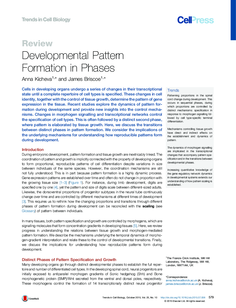 Developmental Pattern Formation in Phases