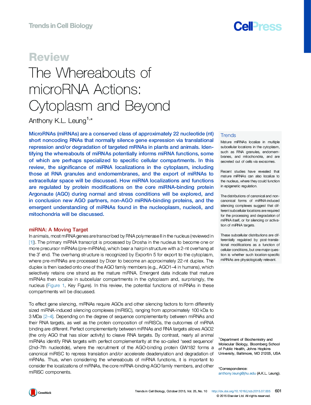 The Whereabouts of microRNA Actions: Cytoplasm and Beyond