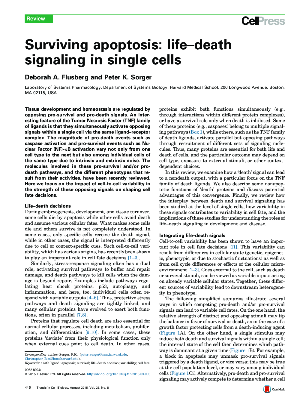 Surviving apoptosis: life–death signaling in single cells