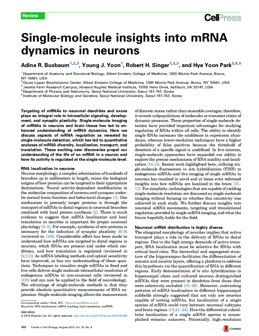 Single-molecule insights into mRNA dynamics in neurons