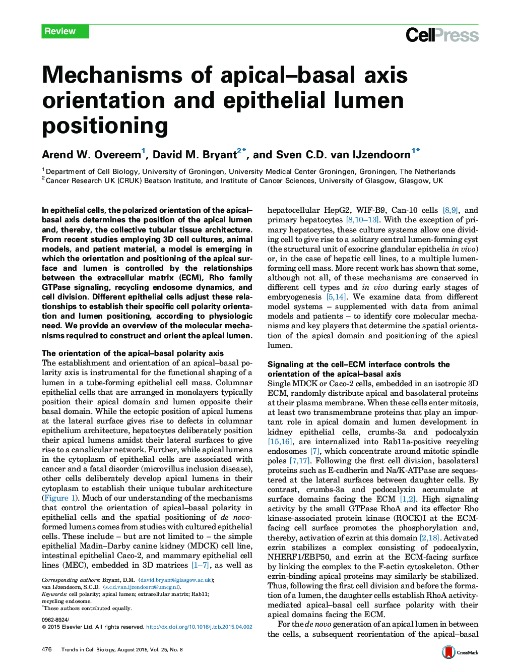 Mechanisms of apical–basal axis orientation and epithelial lumen positioning