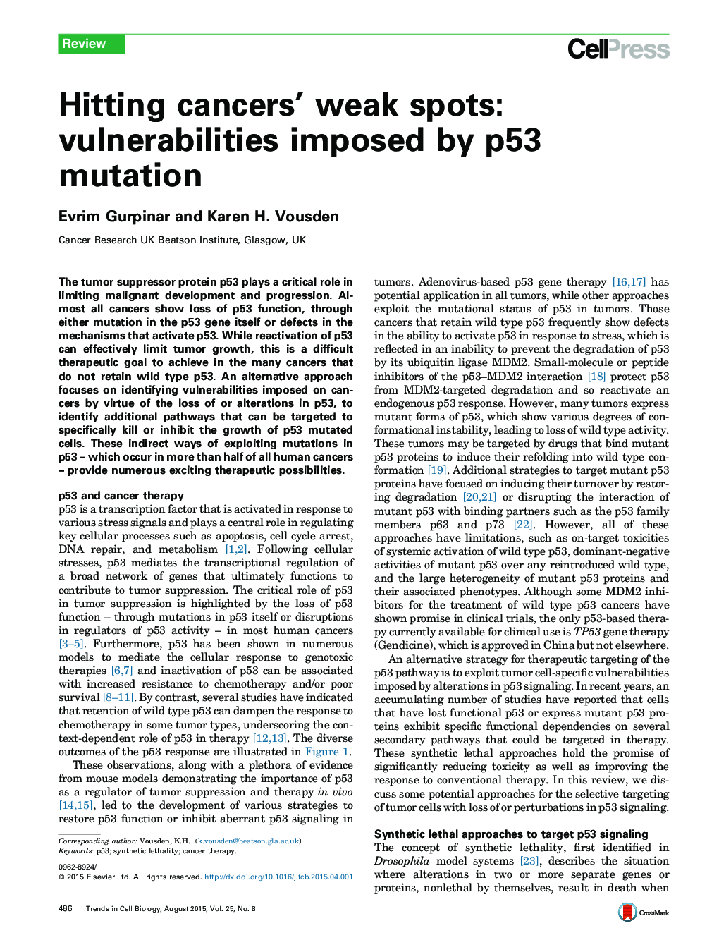 Hitting cancers’ weak spots: vulnerabilities imposed by p53 mutation