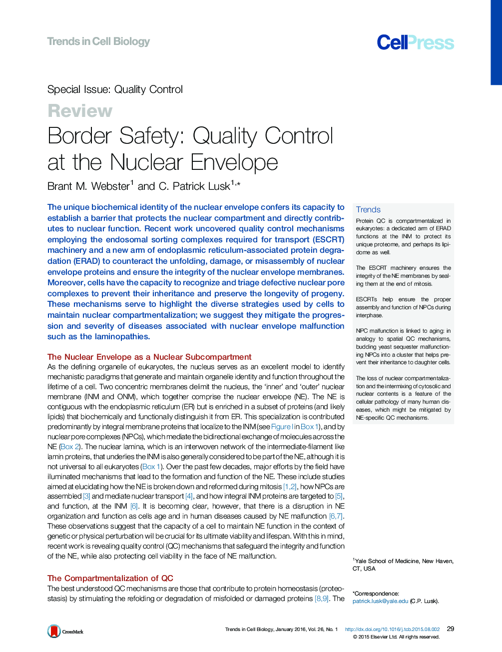 Border Safety: Quality Control at the Nuclear Envelope