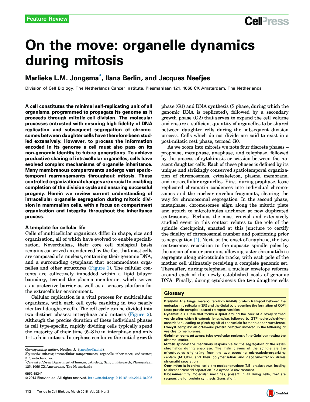 On the move: organelle dynamics during mitosis