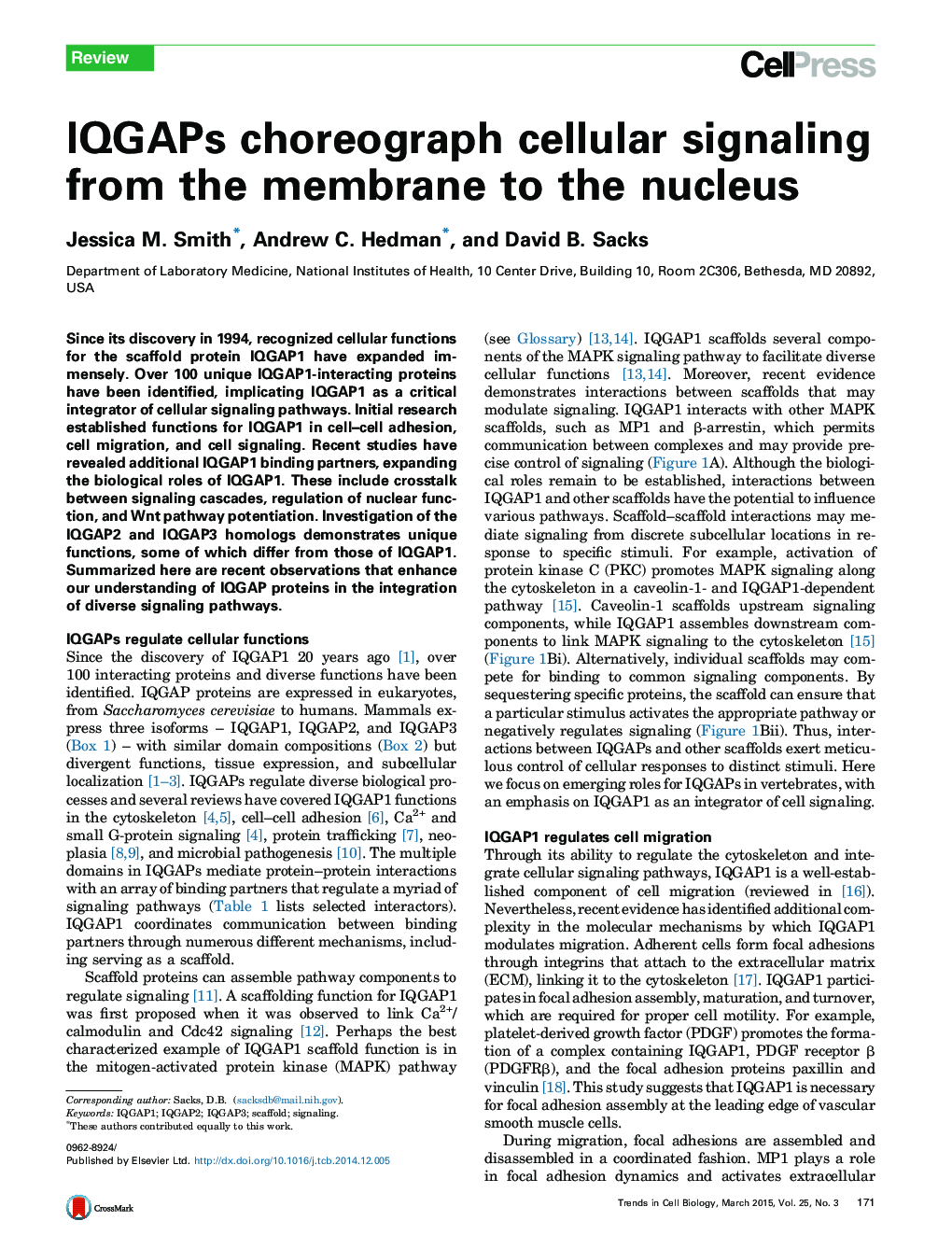 IQGAPs choreograph cellular signaling from the membrane to the nucleus