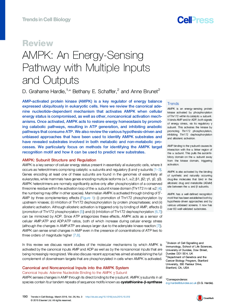AMPK: An Energy-Sensing Pathway with Multiple Inputs and Outputs