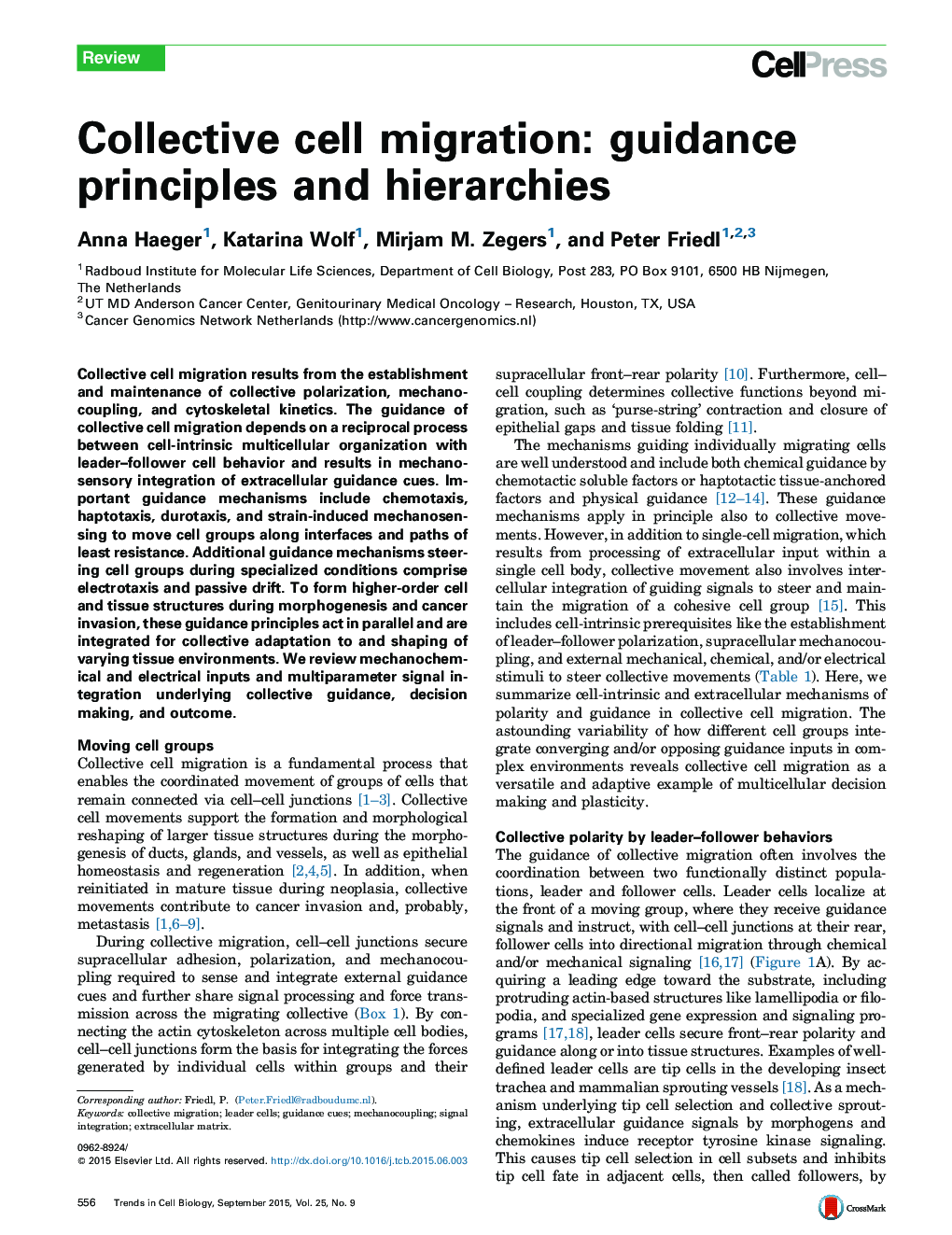 Collective cell migration: guidance principles and hierarchies