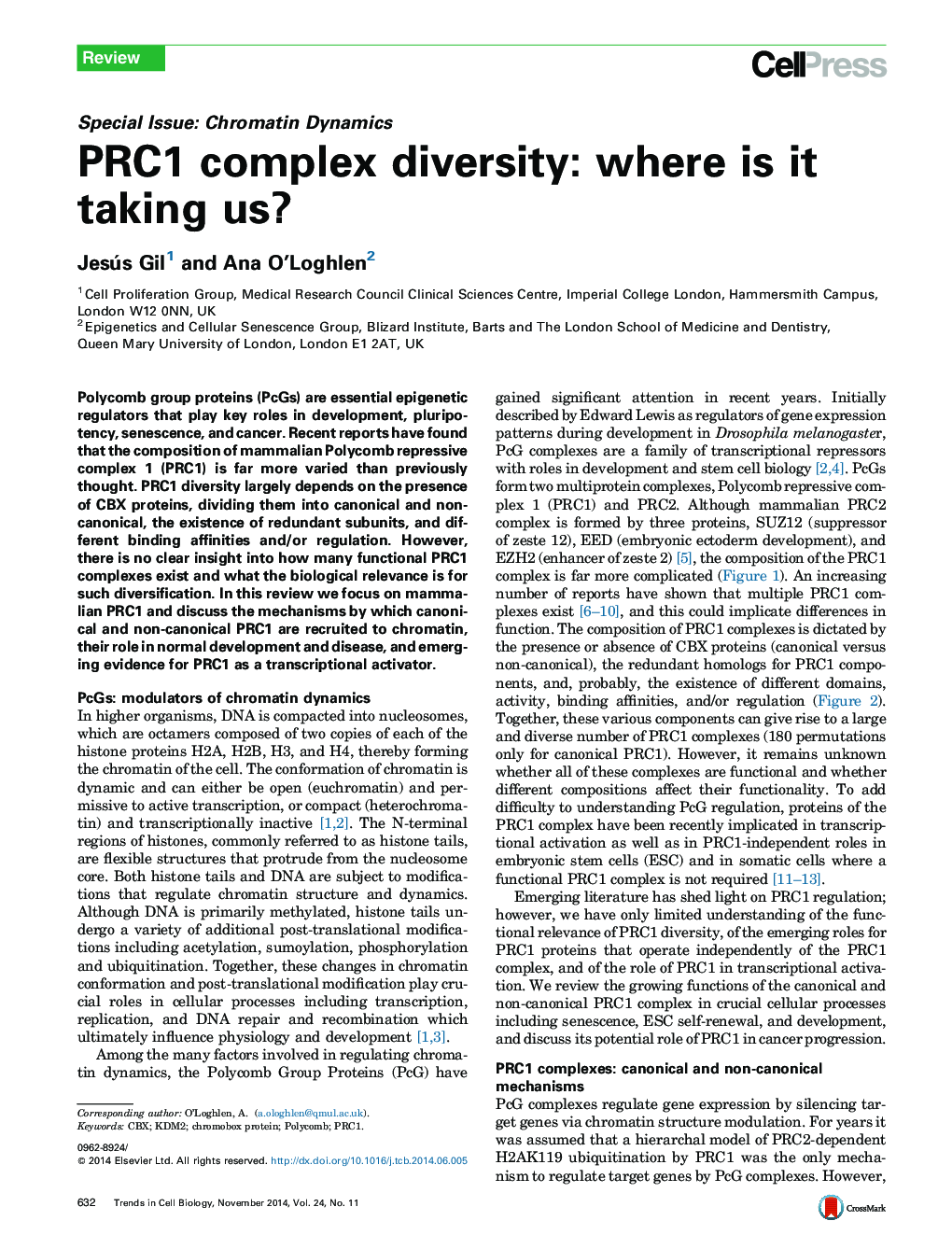 PRC1 complex diversity: where is it taking us?