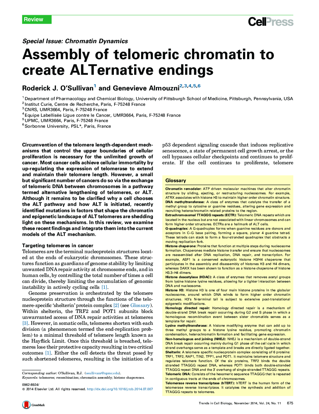 Assembly of telomeric chromatin to create ALTernative endings