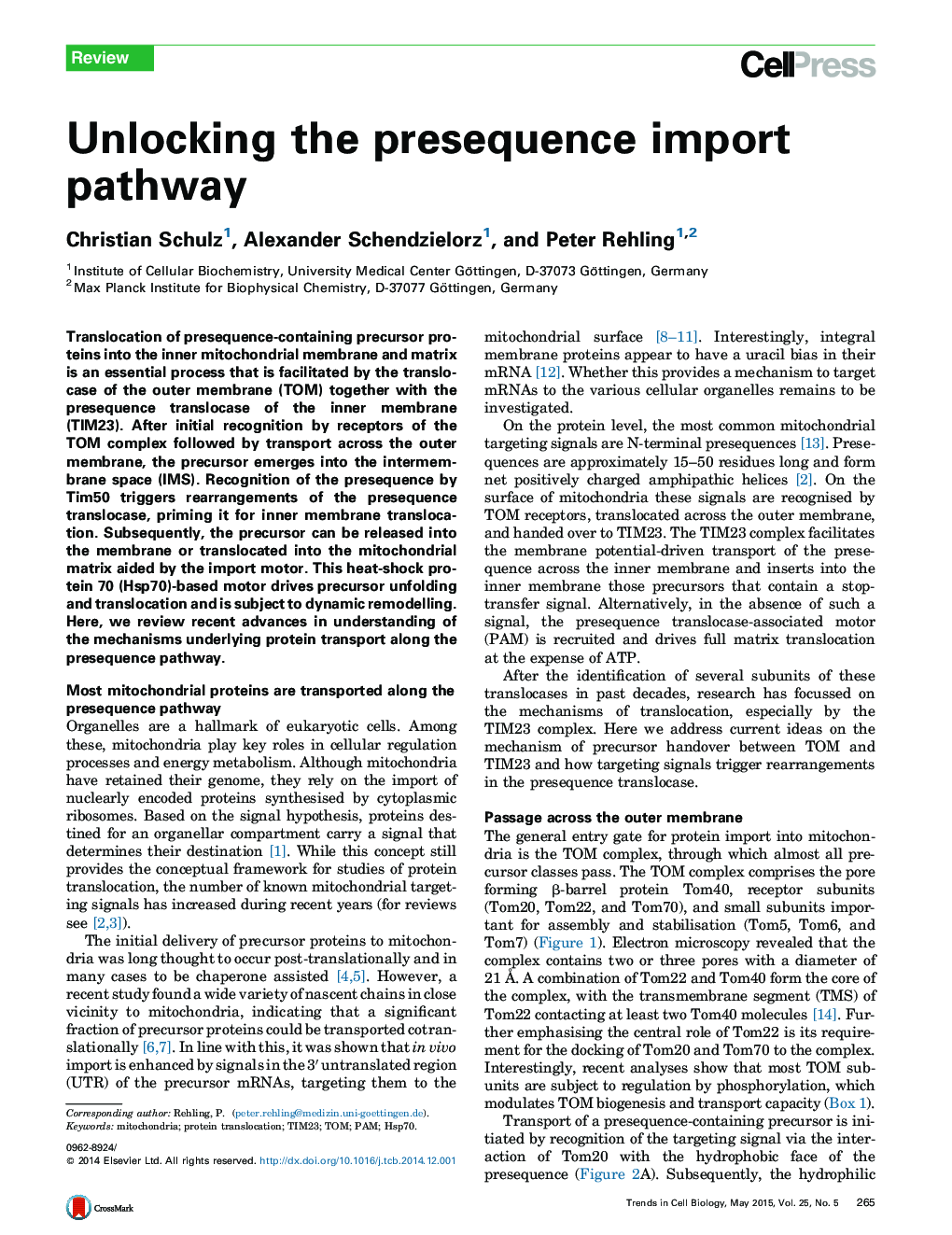 Unlocking the presequence import pathway