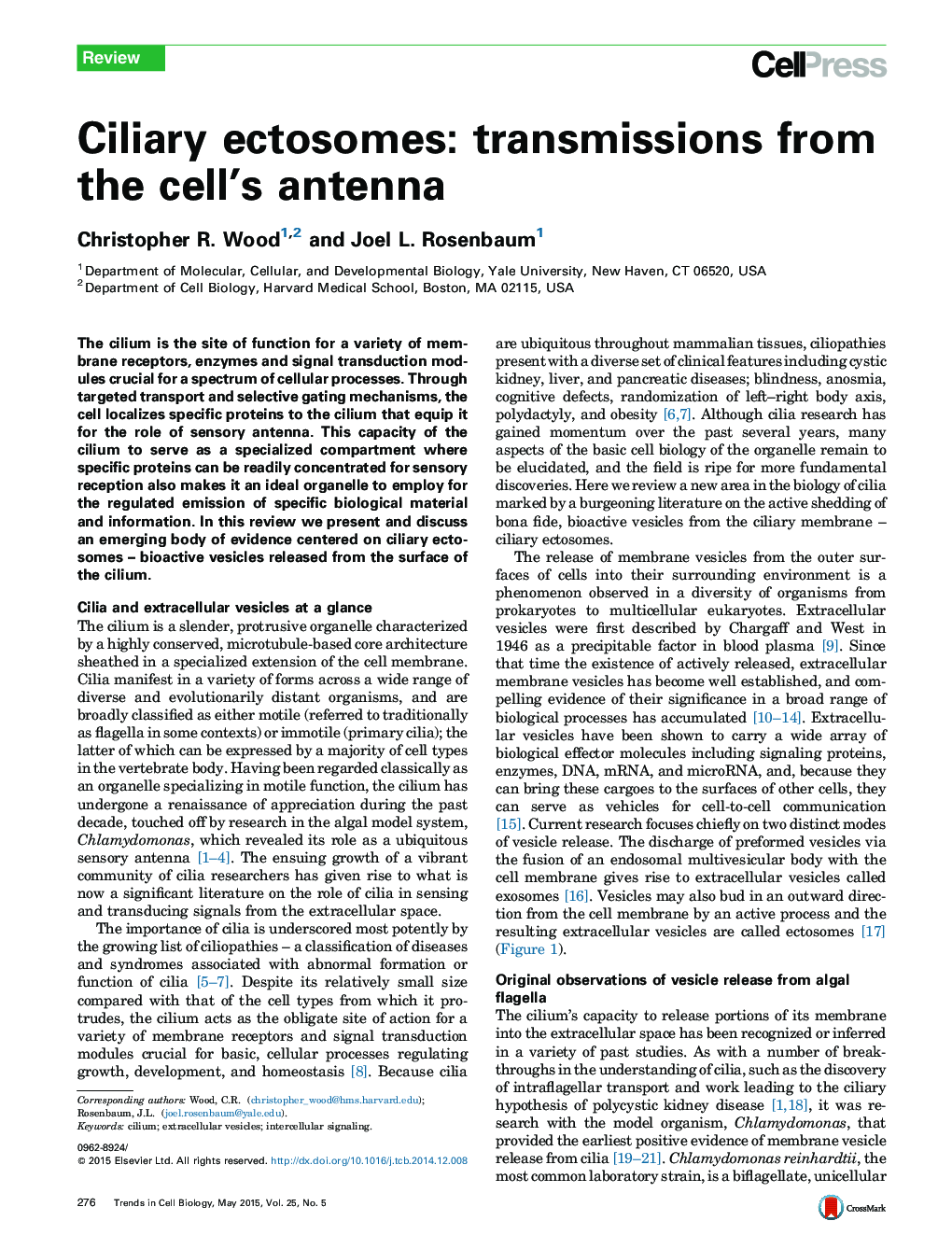 Ciliary ectosomes: transmissions from the cell's antenna