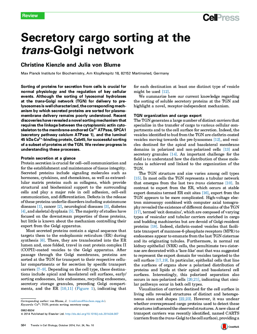 Secretory cargo sorting at the trans-Golgi network