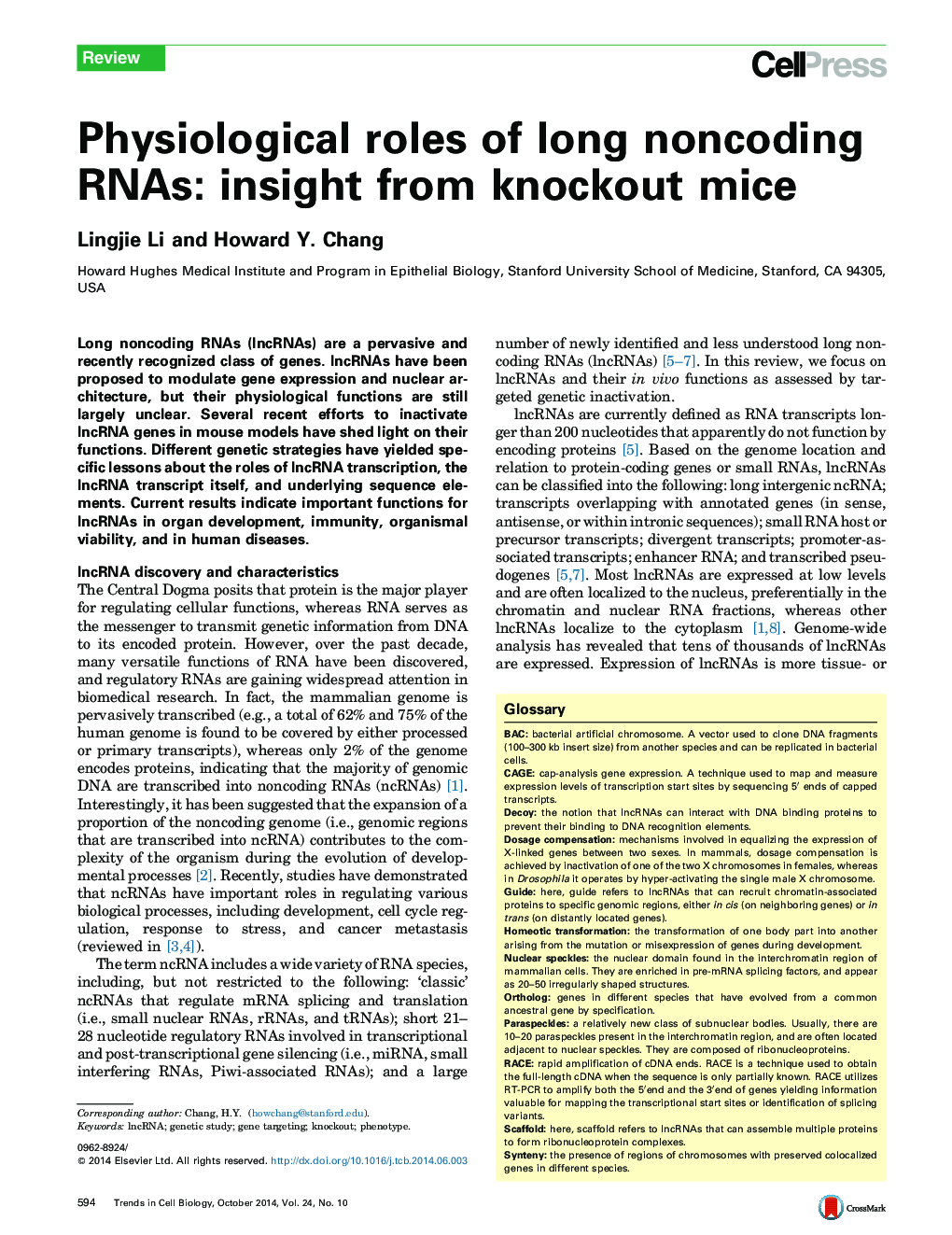 Physiological roles of long noncoding RNAs: insight from knockout mice