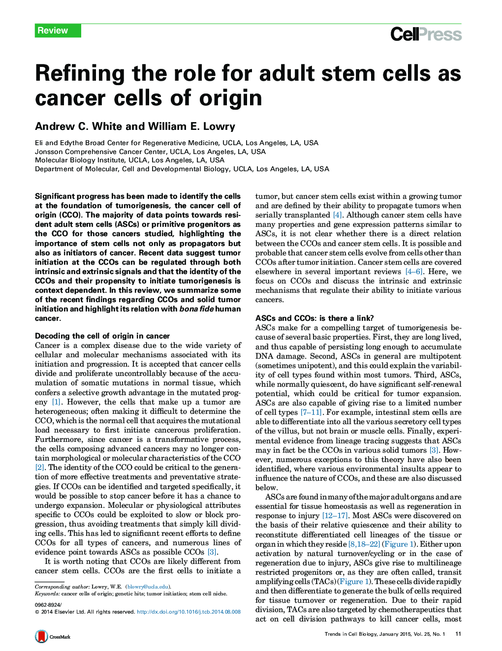 Refining the role for adult stem cells as cancer cells of origin