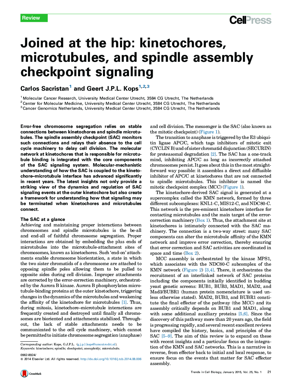 Joined at the hip: kinetochores, microtubules, and spindle assembly checkpoint signaling
