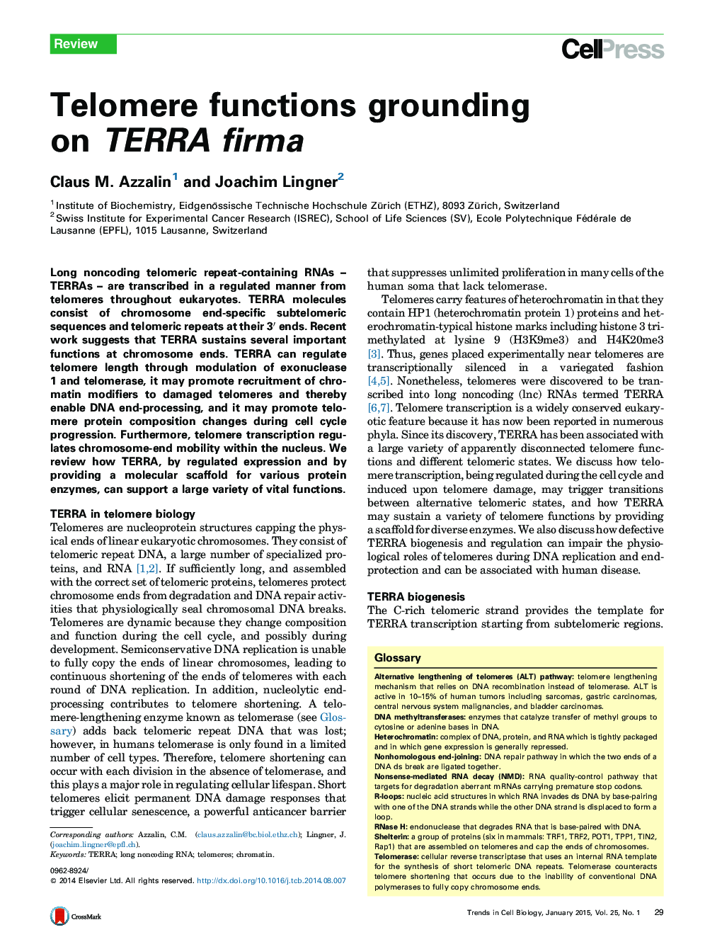 Telomere functions grounding on TERRA firma