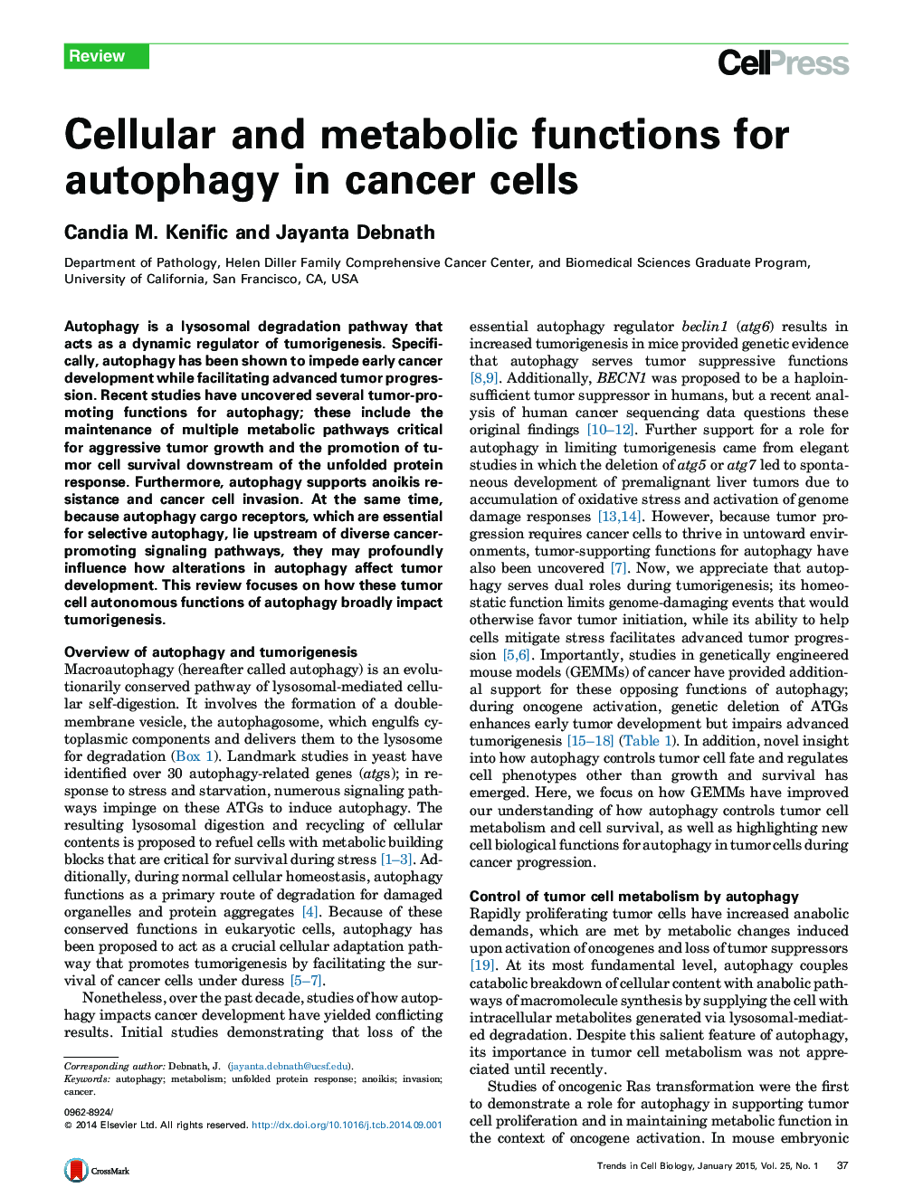 Cellular and metabolic functions for autophagy in cancer cells