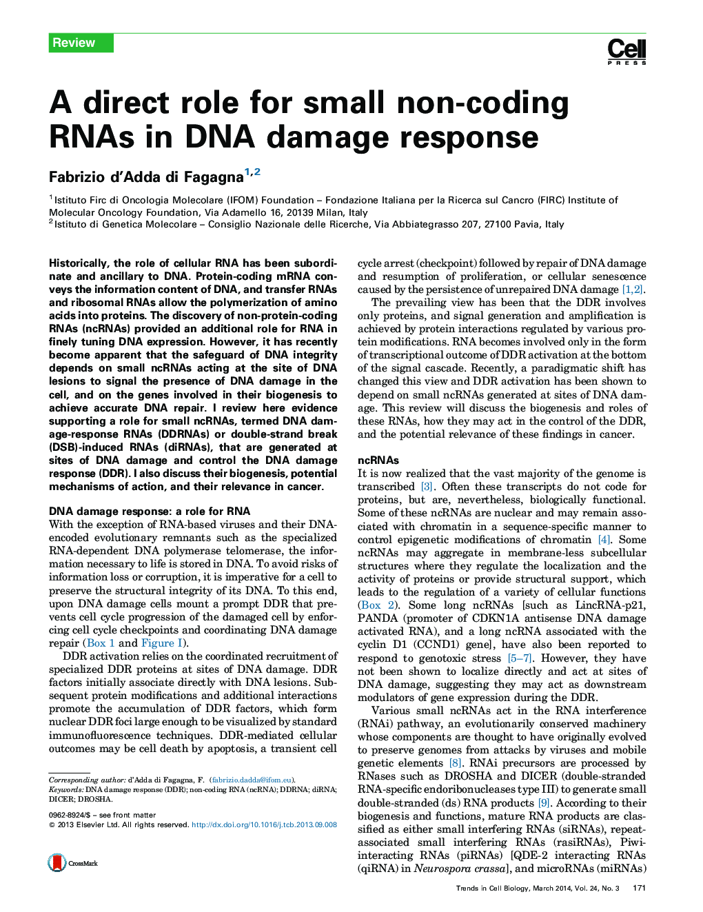 A direct role for small non-coding RNAs in DNA damage response