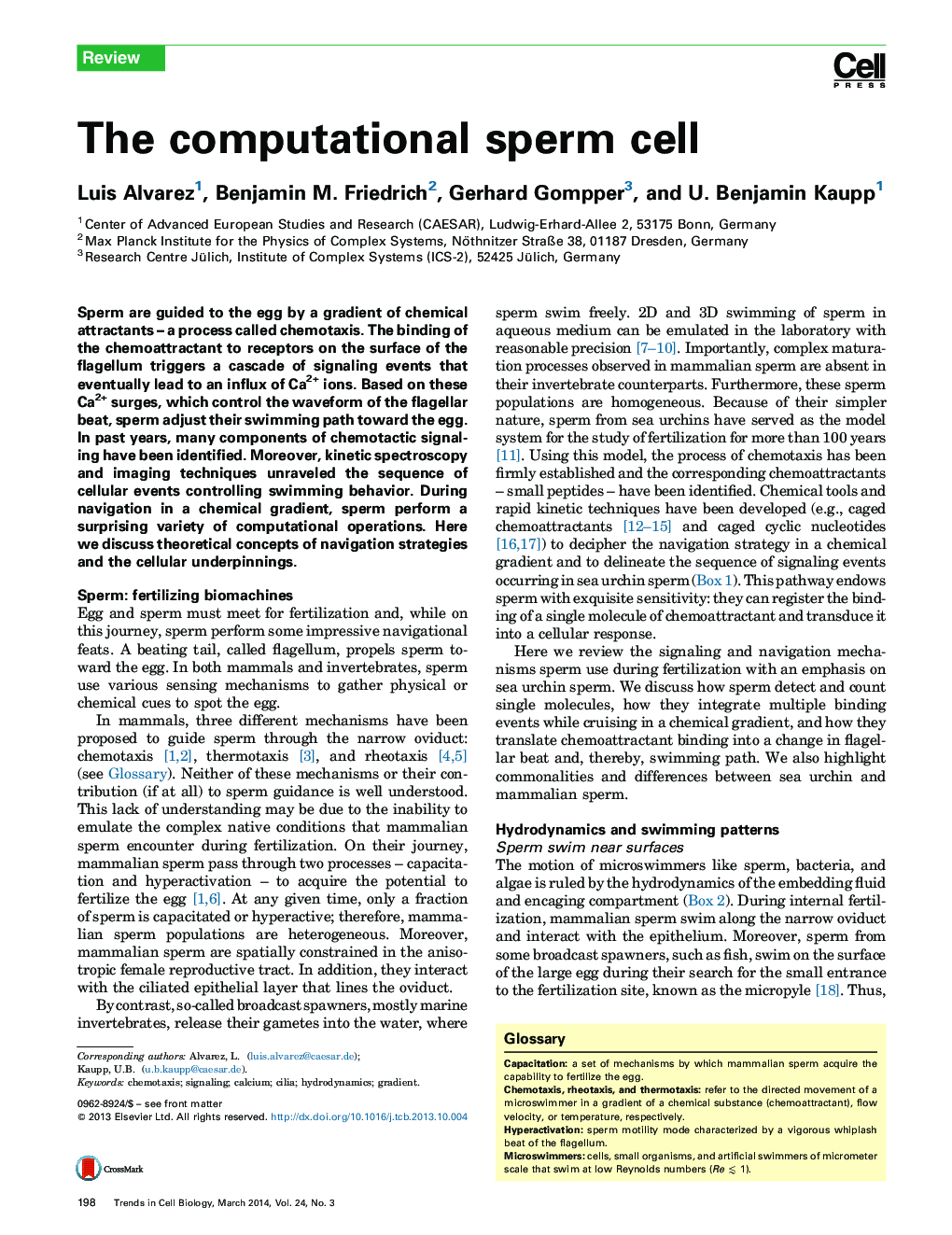 The computational sperm cell