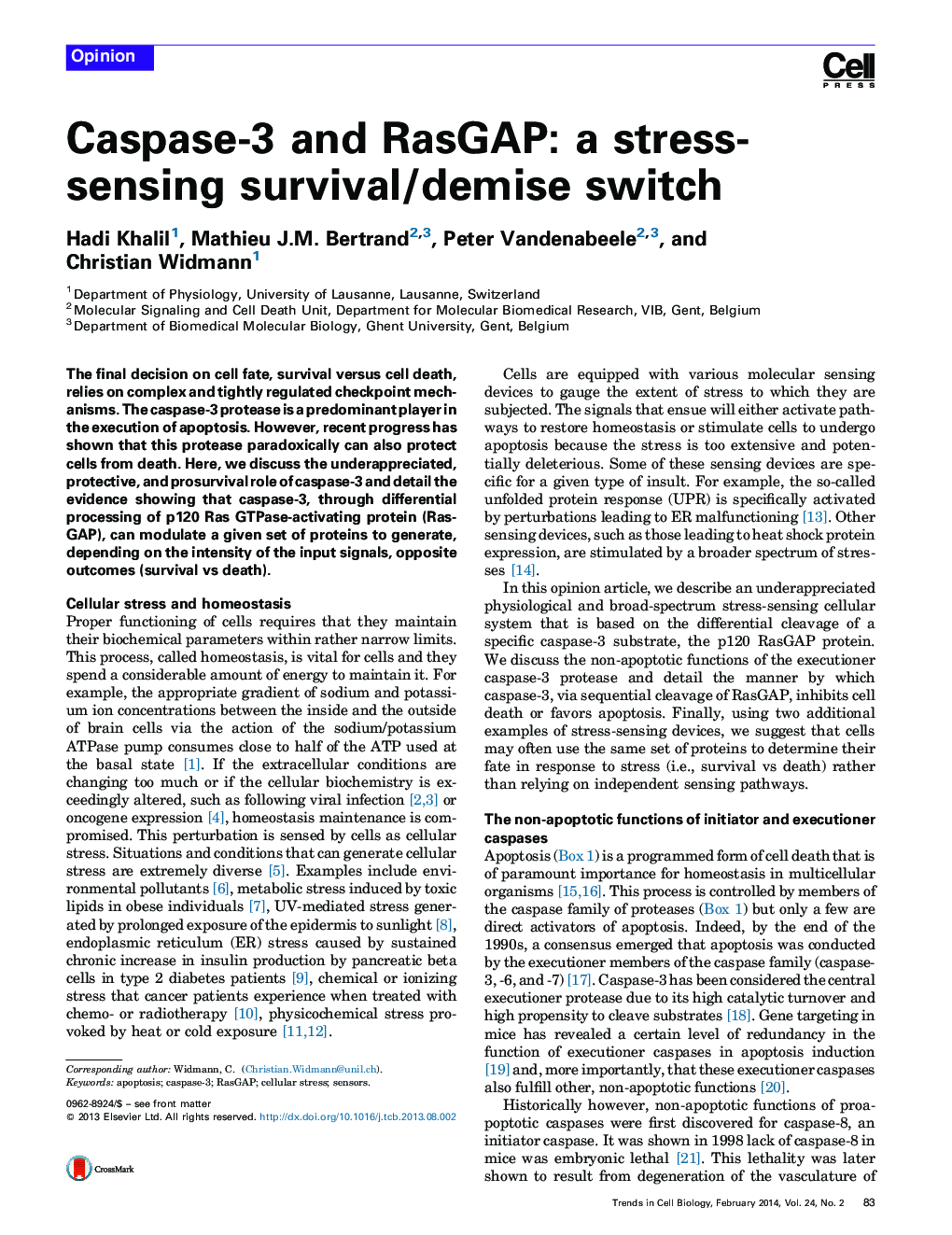 Caspase-3 and RasGAP: a stress-sensing survival/demise switch