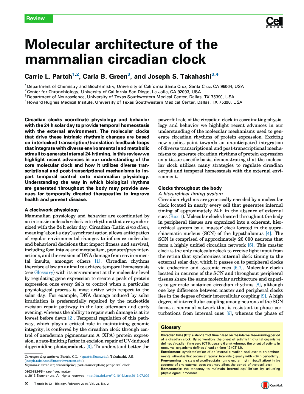 Molecular architecture of the mammalian circadian clock