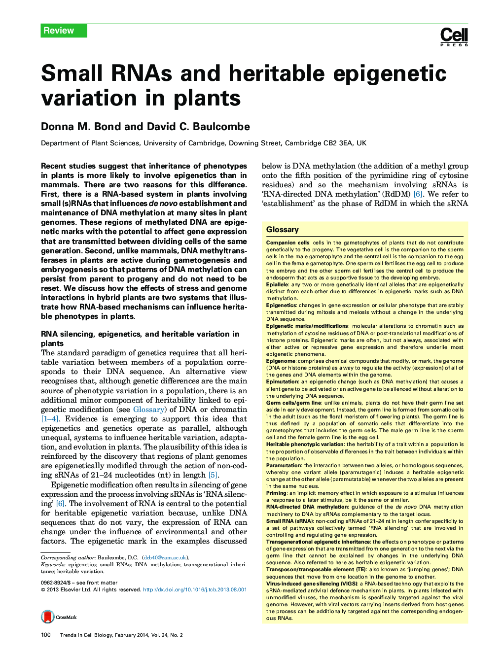 Small RNAs and heritable epigenetic variation in plants