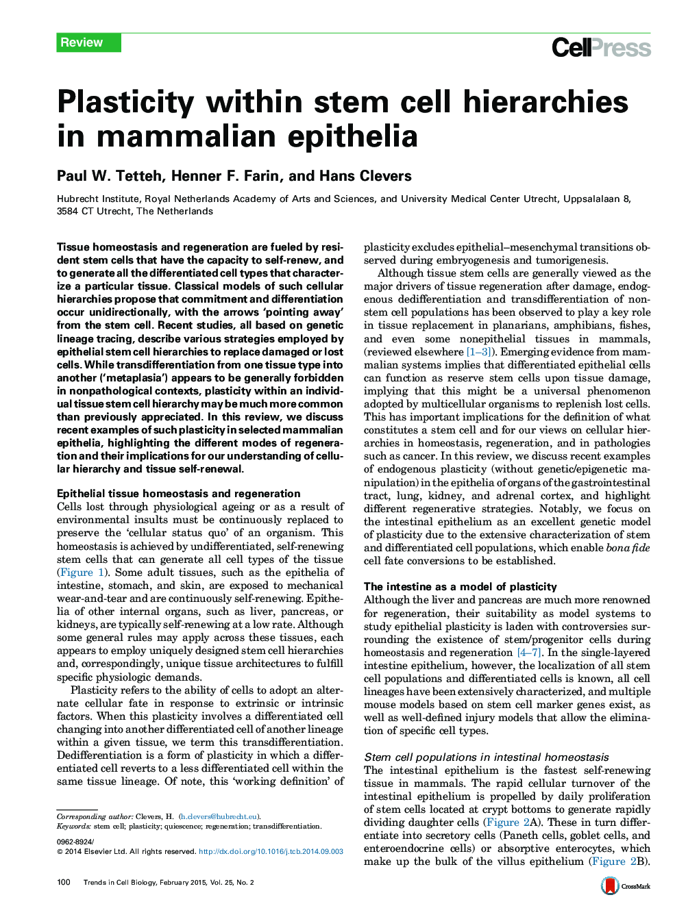 Plasticity within stem cell hierarchies in mammalian epithelia