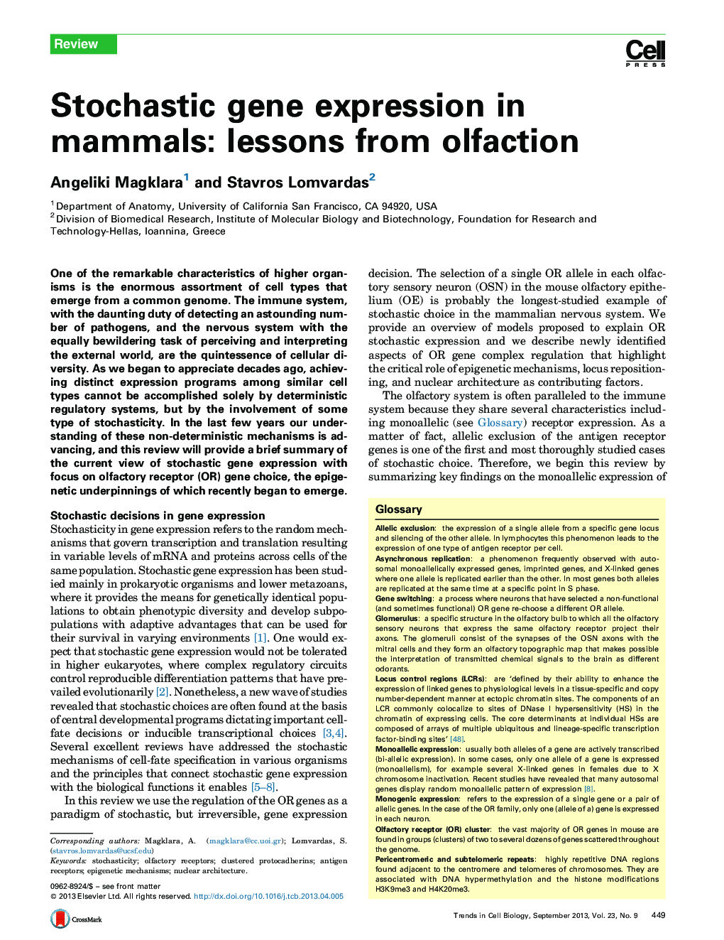 Stochastic gene expression in mammals: lessons from olfaction