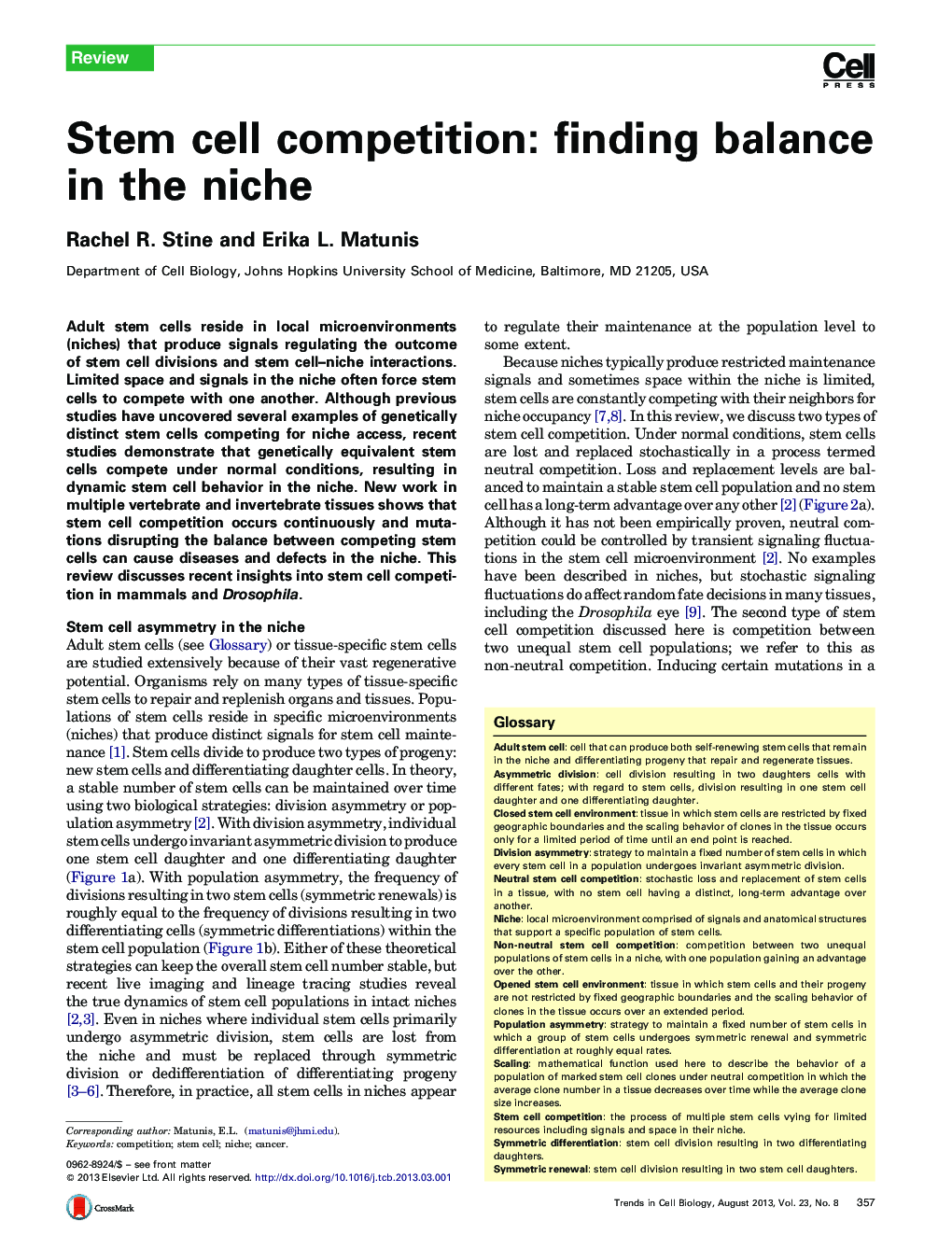 Stem cell competition: finding balance in the niche